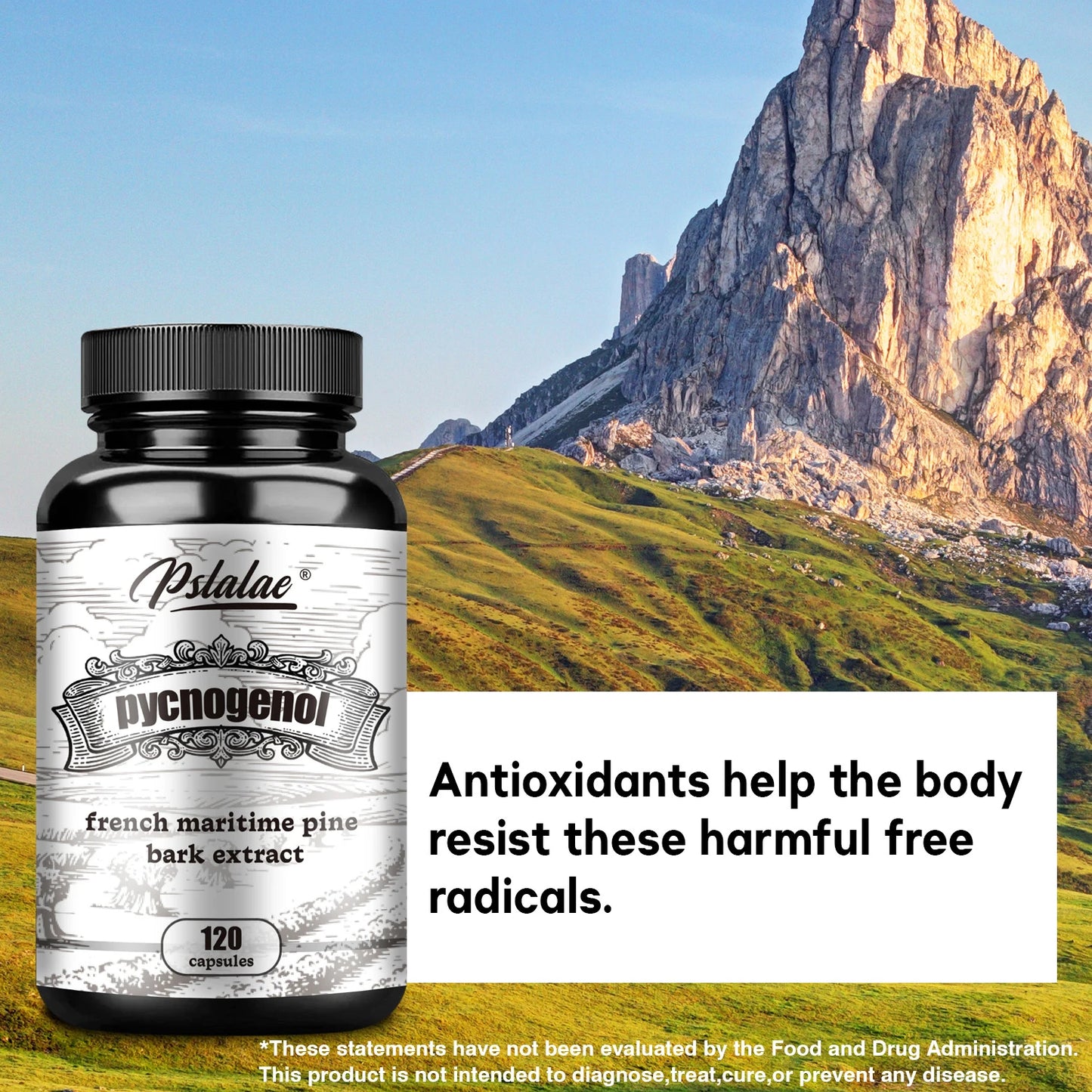 Pycnogenol - French Maritime Pine Bark Extract