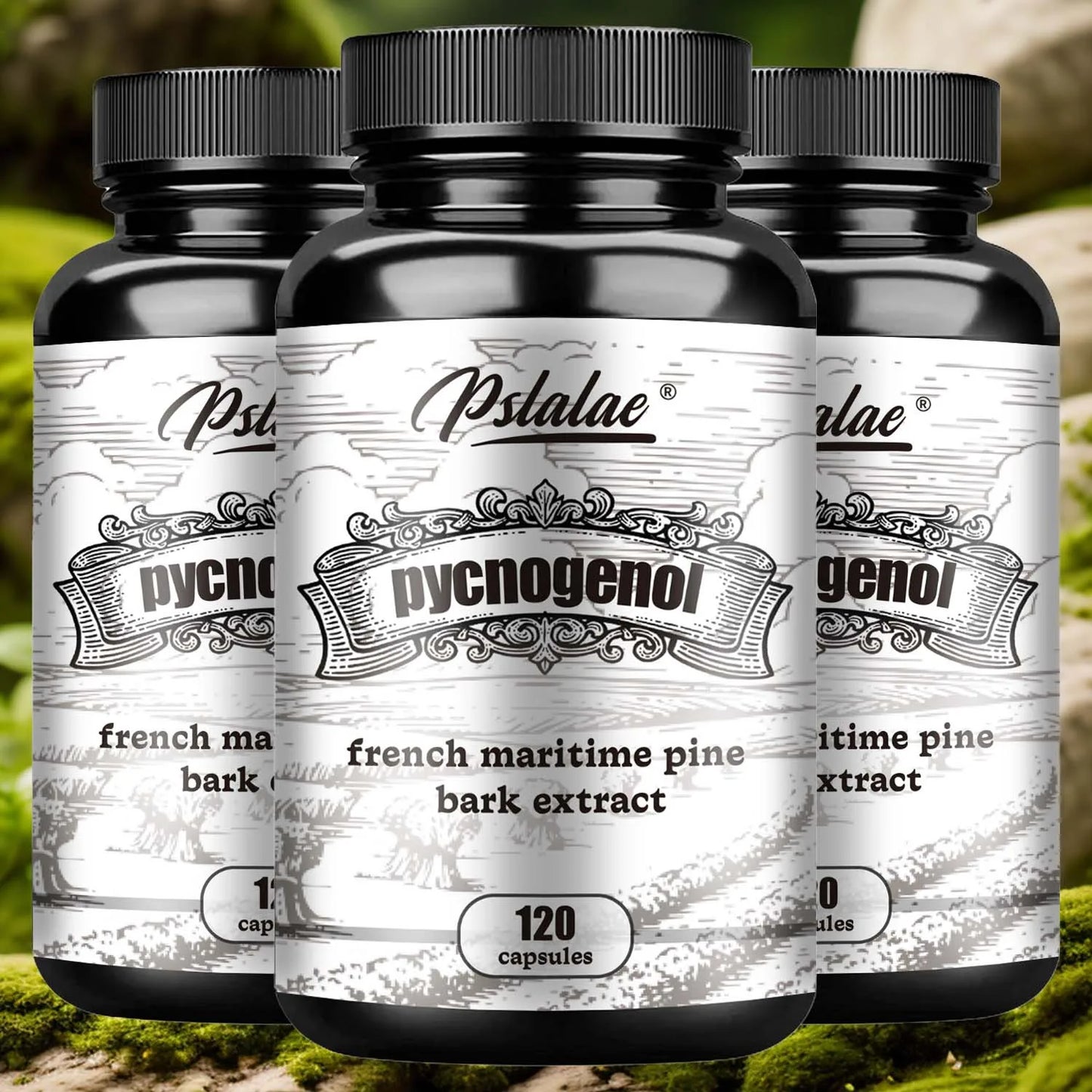 Pycnogenol - French Maritime Pine Bark Extract