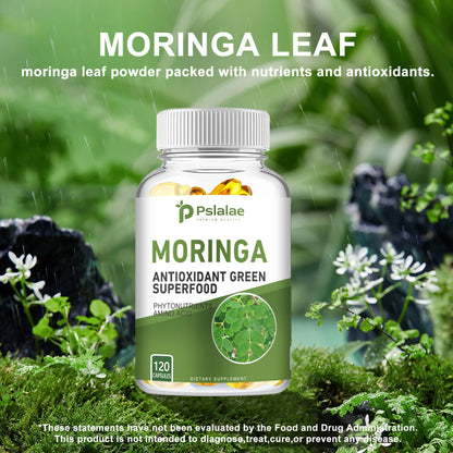 Moringa Capsules 1000mg - for Immune System