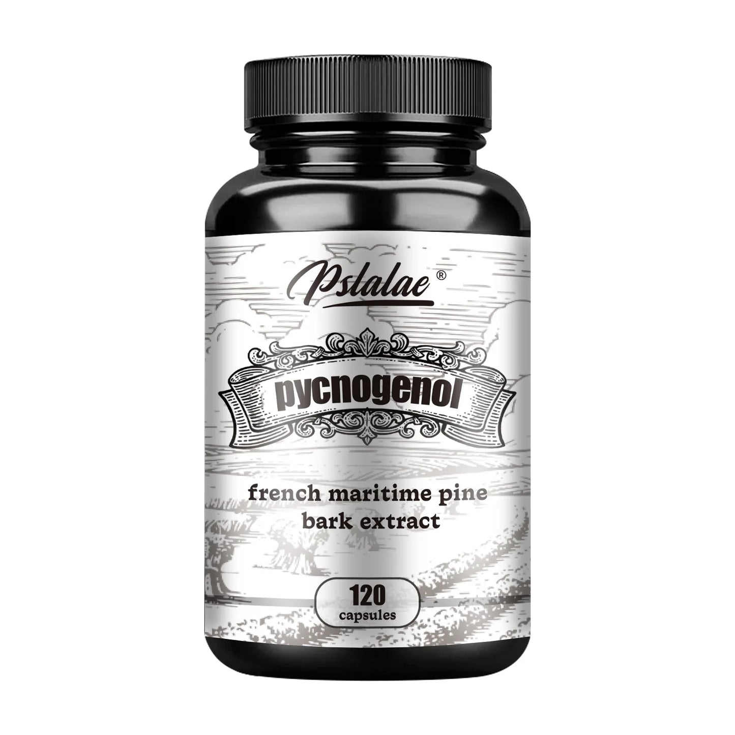 Pycnogenol - French Maritime Pine Bark Extract