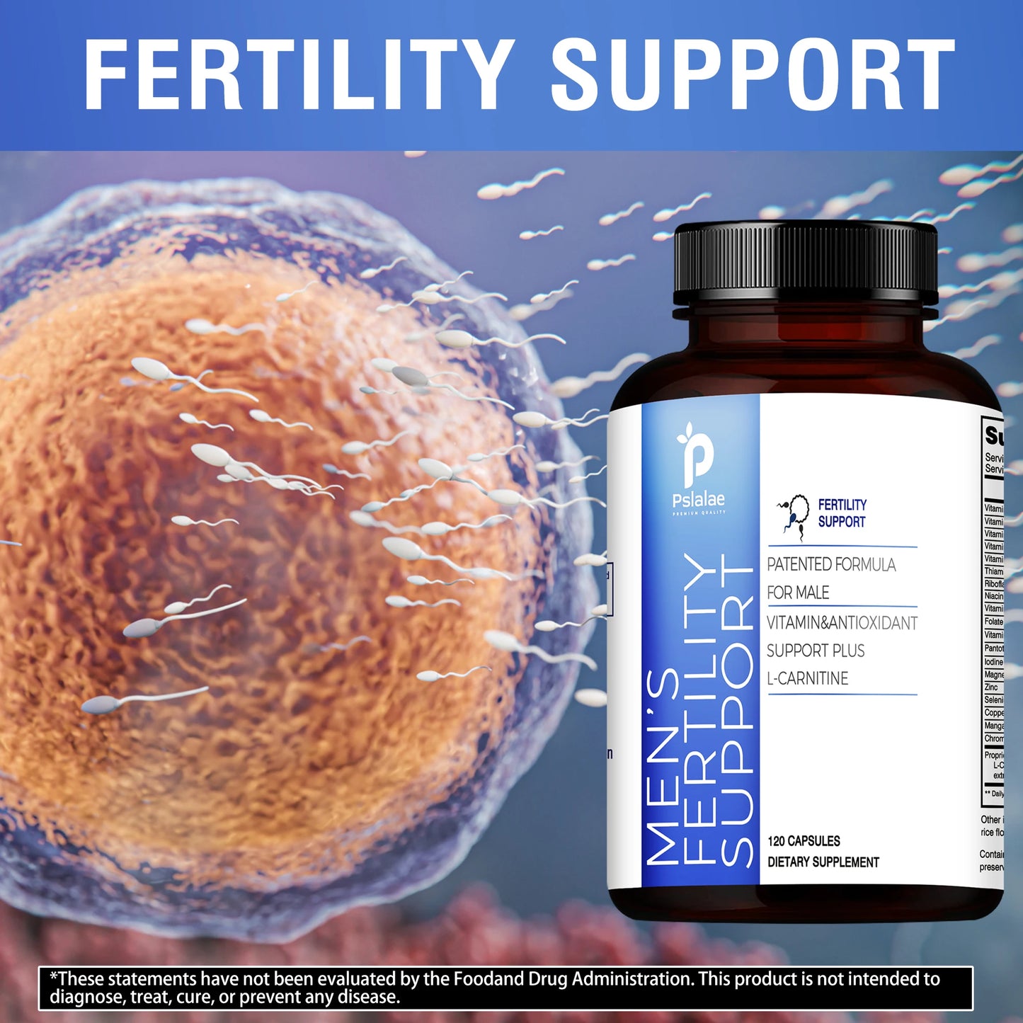 Prenatal Male Fertility Supplement