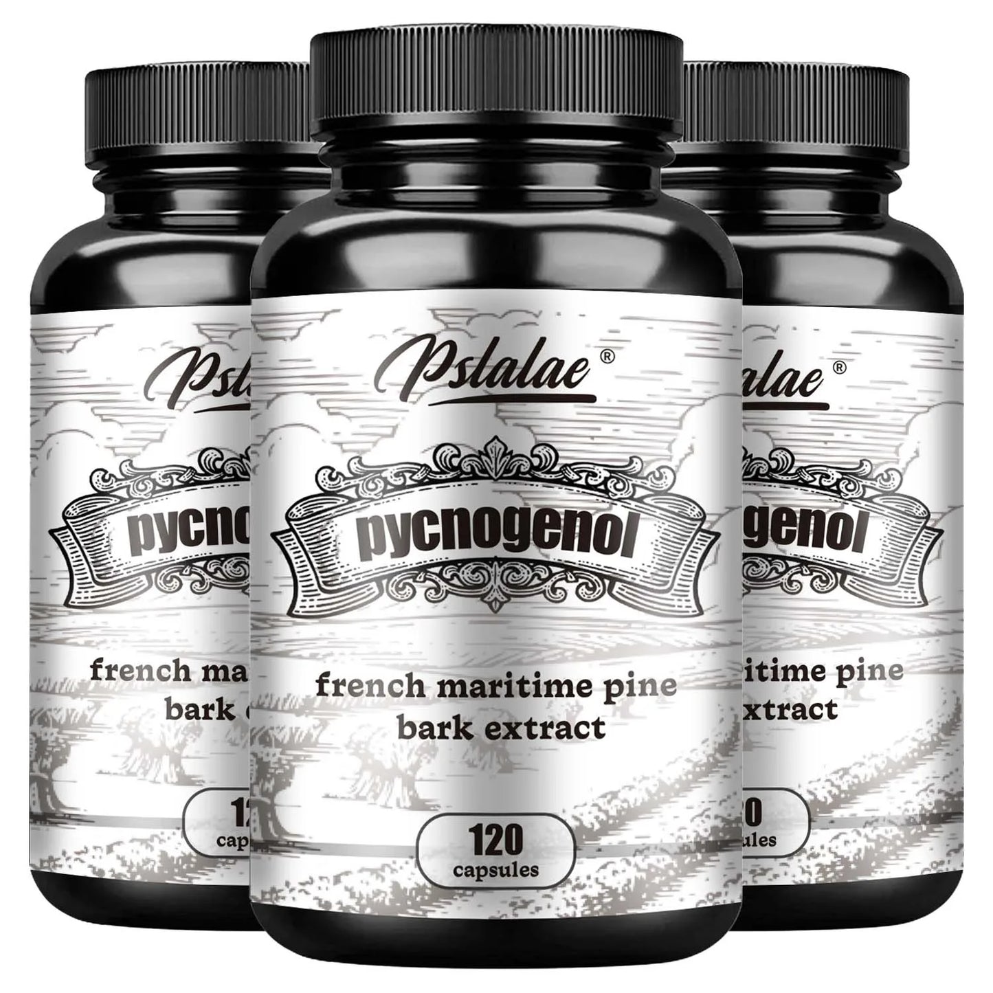 Pycnogenol - French Maritime Pine Bark Extract