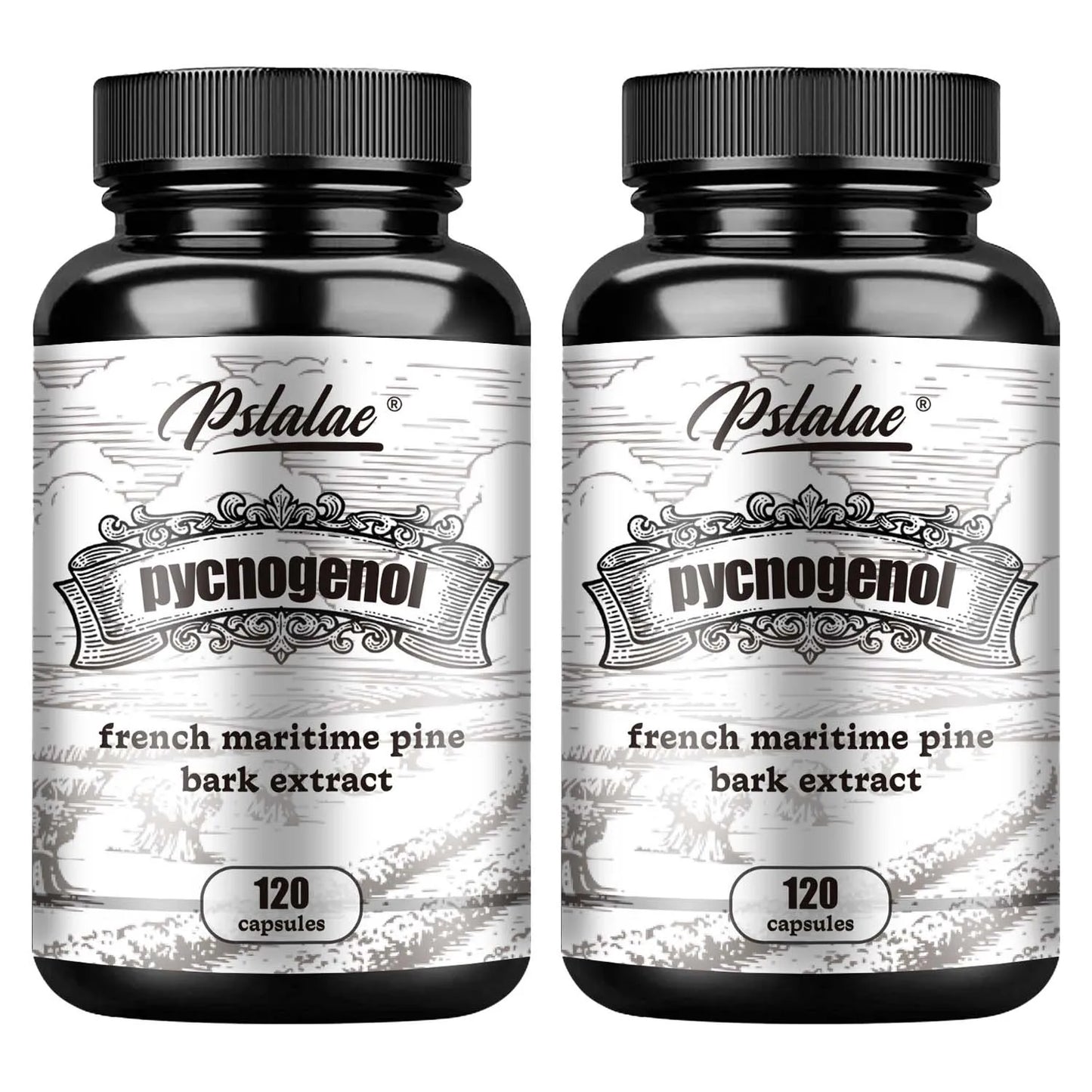 Pycnogenol - French Maritime Pine Bark Extract