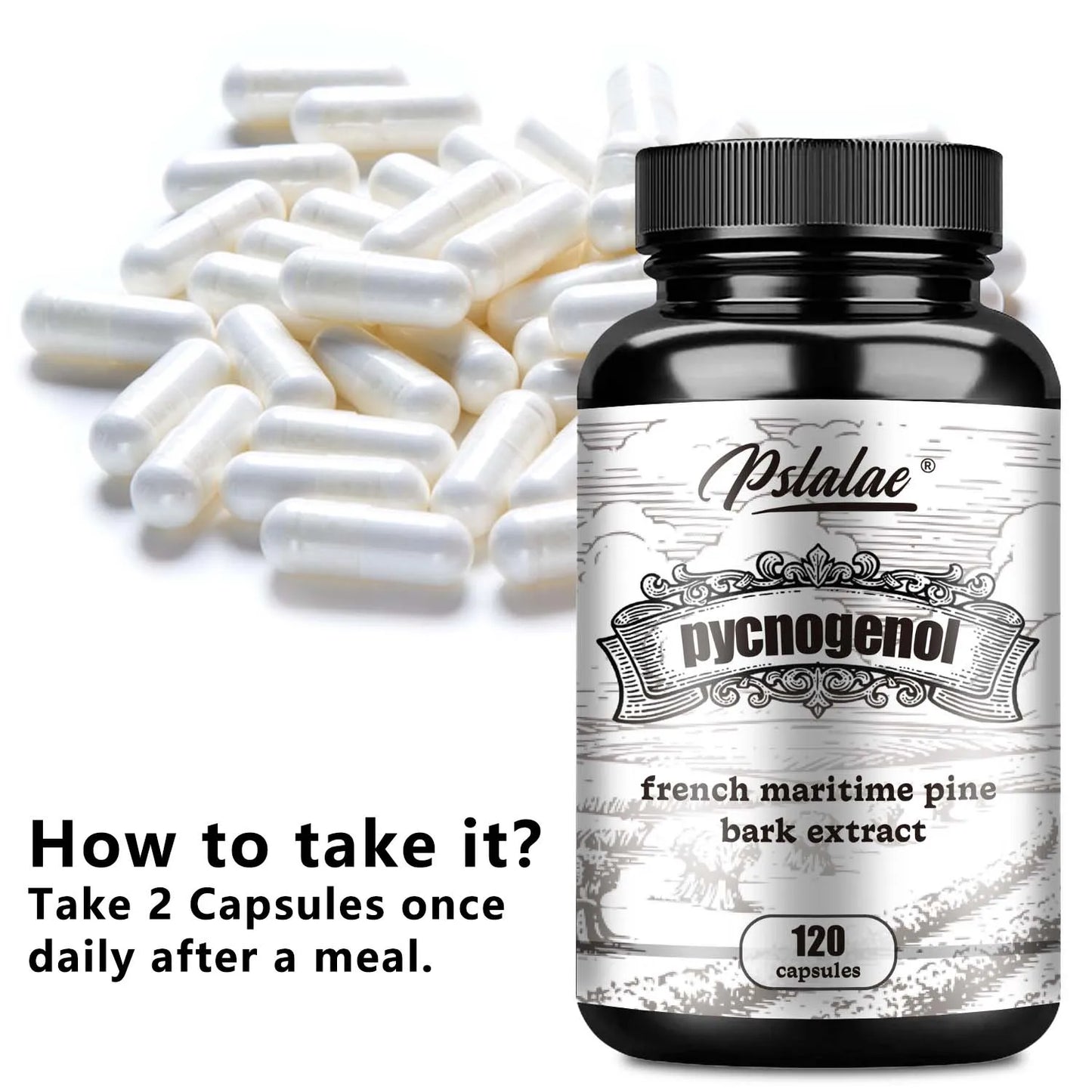 Pycnogenol - French Maritime Pine Bark Extract