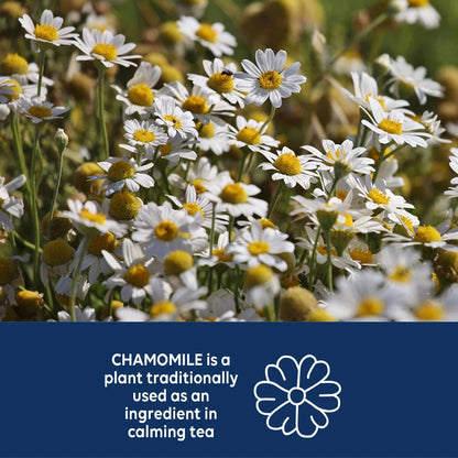 Relax and Sleep - with Melatonin, Ashwagandha