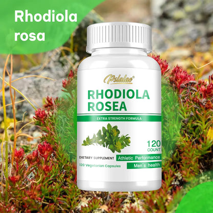Rhodiola Rosea - Relieve Stress, Replenish Energy